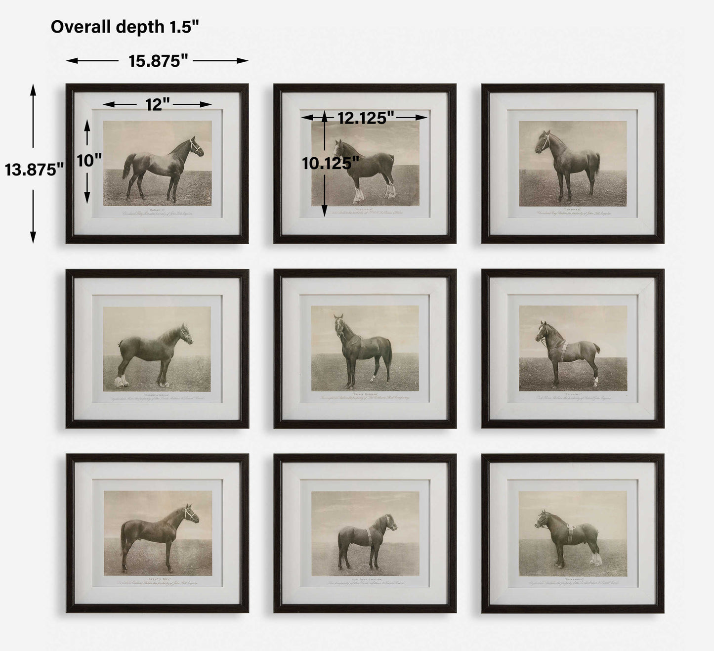 Equine Dynasty Framed Prints, S/9