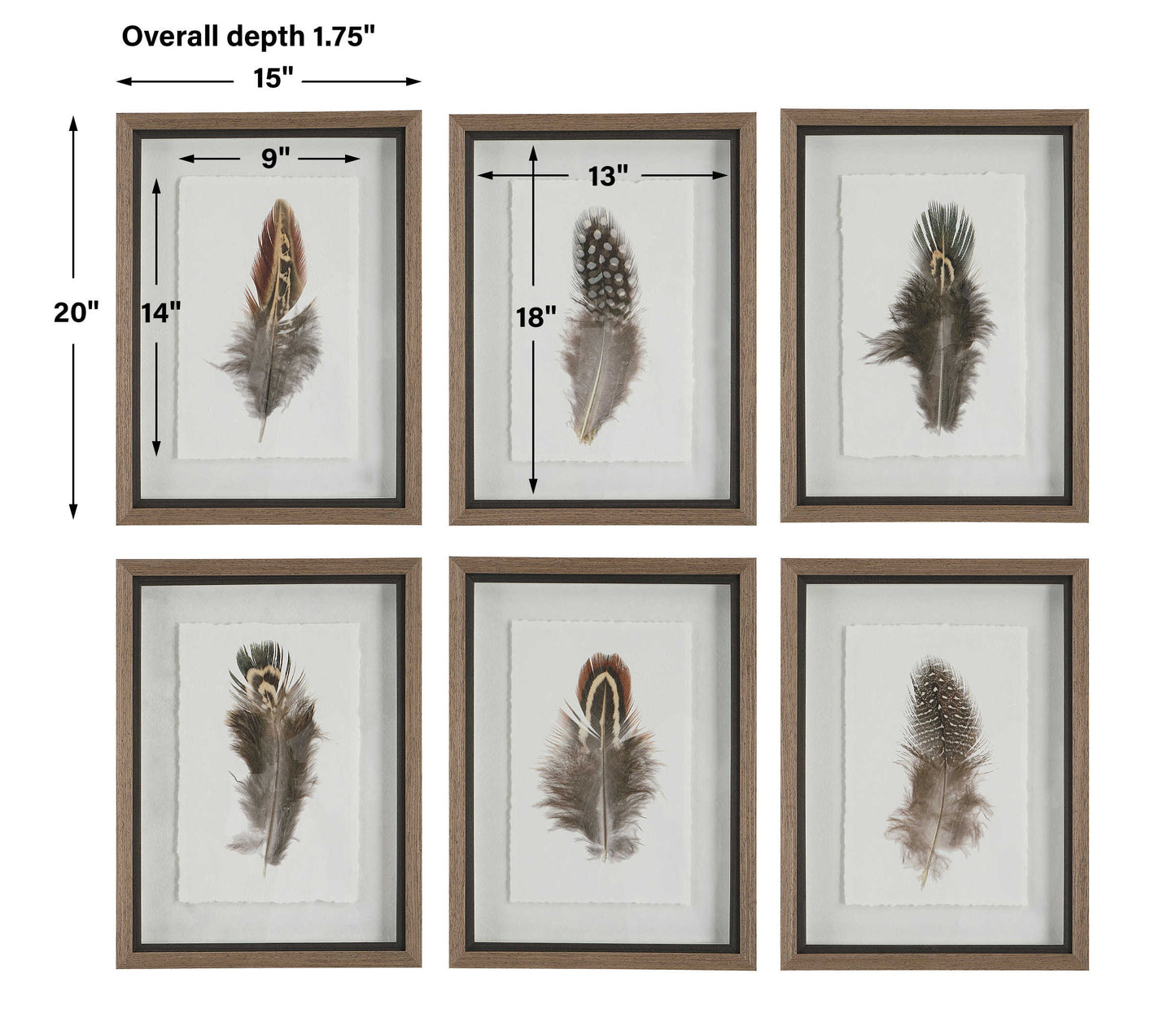 Birds Of Feather Framed Prints, S/6