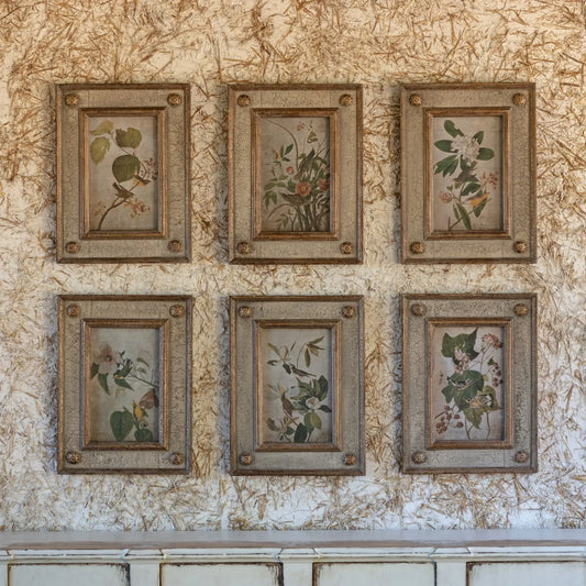 FRAMED BIRD AND FLORAL AGED PRINT COLLECTION SET OF 6